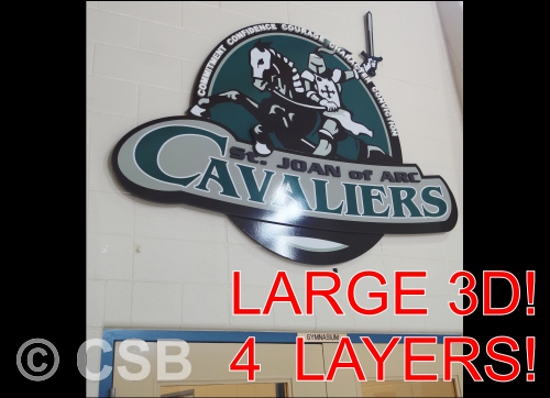 CSB 3D Mural Calgary Type 3